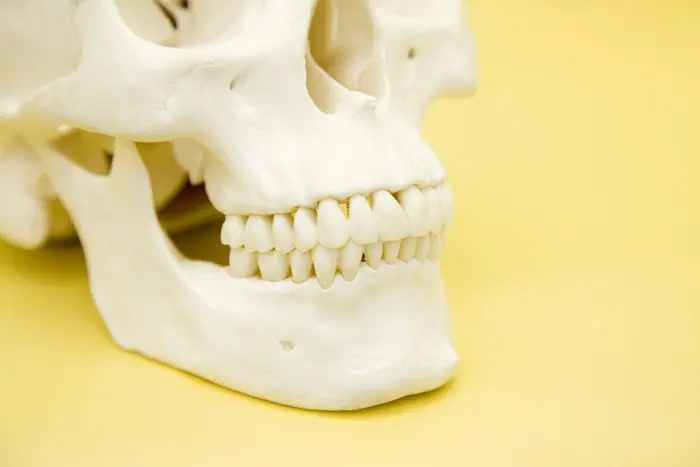 戸塚の歯医者、みずの歯科クリニックの顎関節症治療